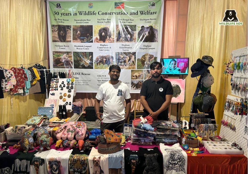 Bhim Rao Ambedkar University_Uttar Pradesh