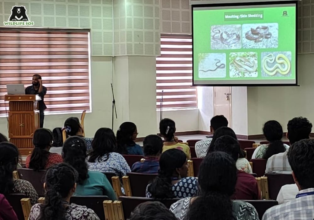 ChristUniversity_Karnataka