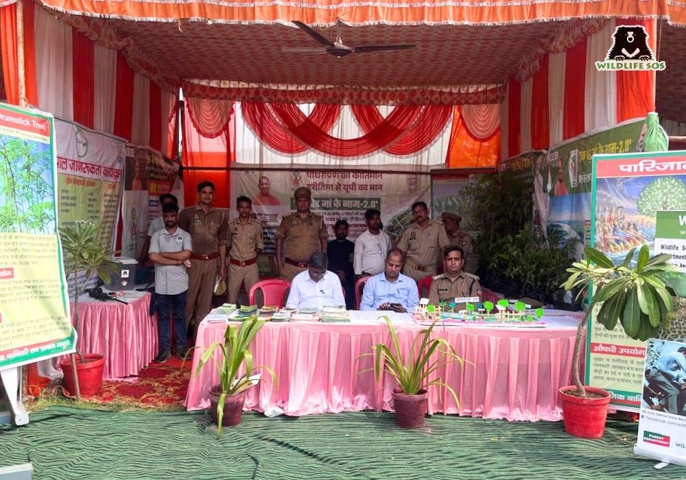 Deendayal Dham_Uttar Pradesh