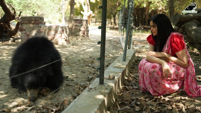 Adah sharma at Wildlife SOS EHC