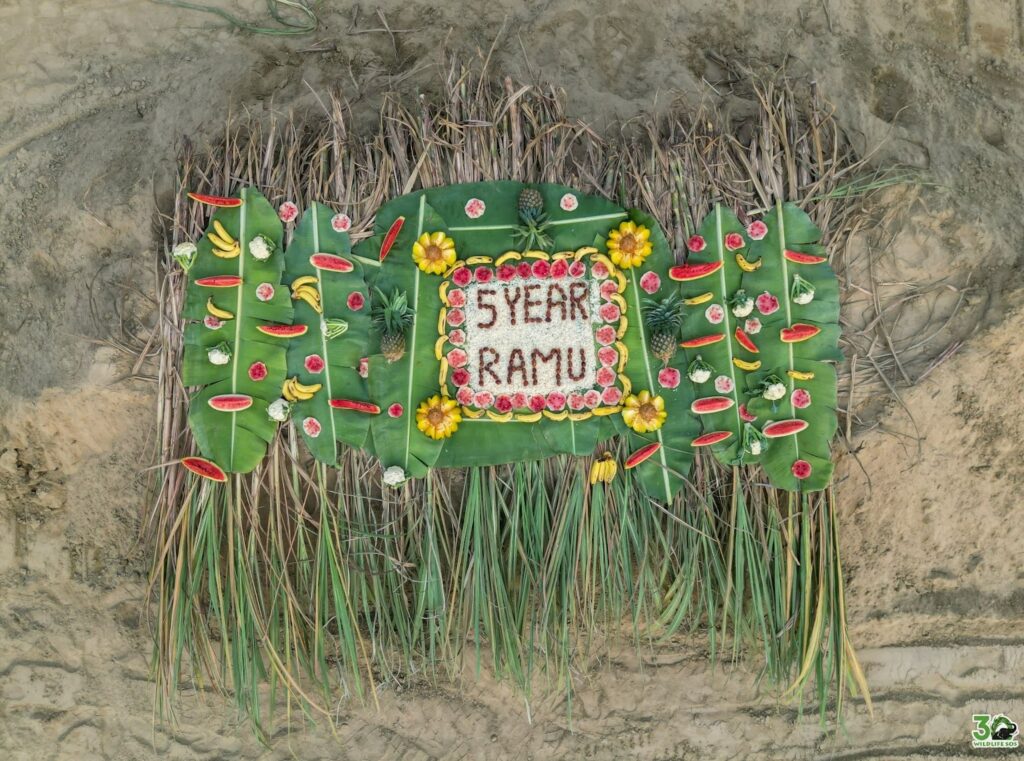 Ramu's rescueversary 