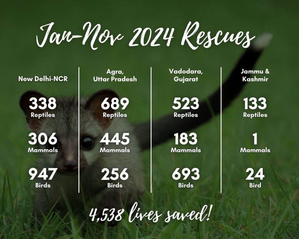 Rescue details of 2024