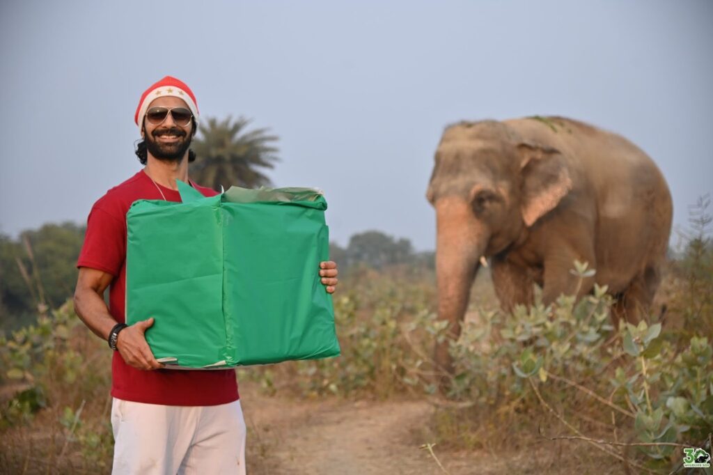 Asmit Patel at Wildlife SOS