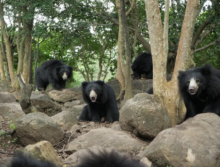 20 Highlights of BBRC’s 20-Year Journey