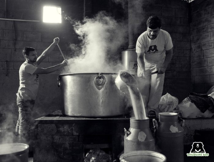 Staff preparing food for bears in bear kitchen