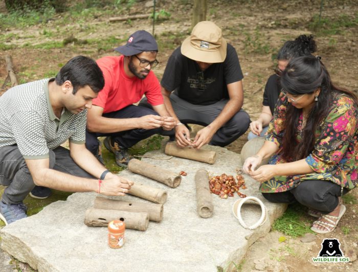 Volunteers preparing enrichment for the bears