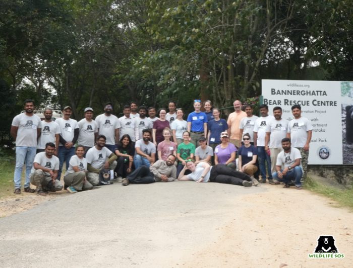 The Bear SAFE team and Wildlife SOS team together
