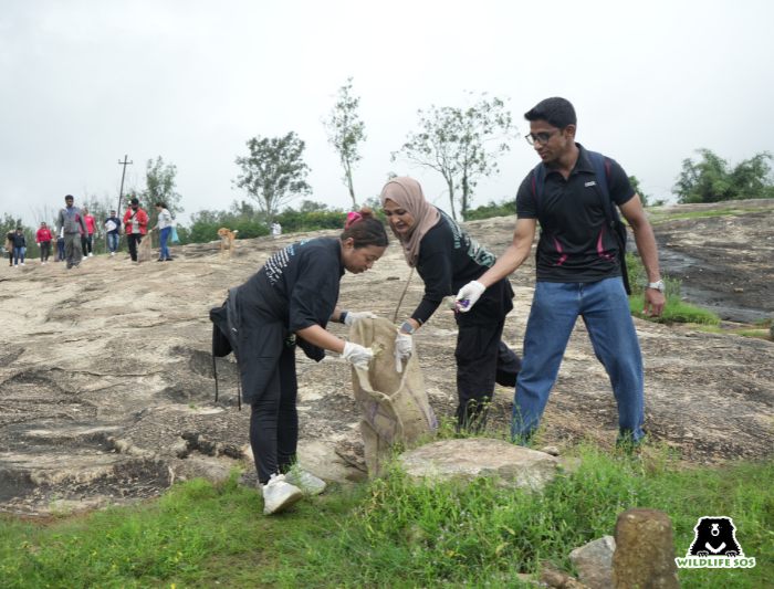 Volunteers participating in cleanliness drive in Bannerughatta