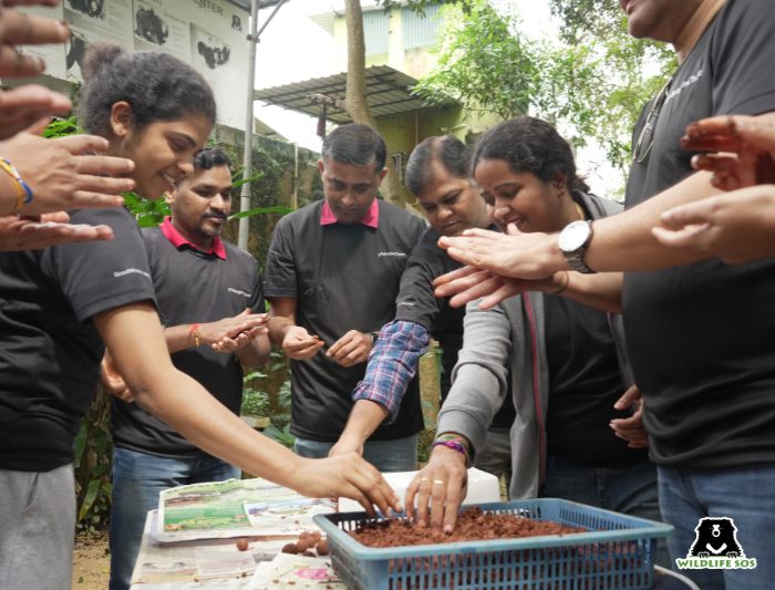 Volunteers preparing seed balls
