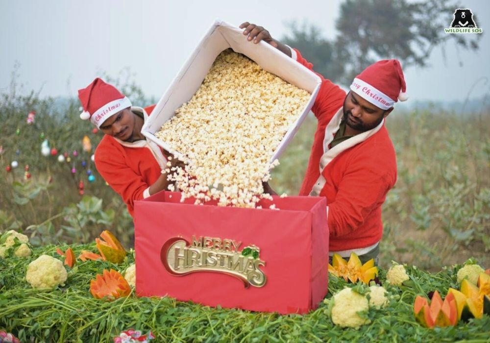 251213_ECCC__SURYODAY_CHRISTMAS_FEAST00006