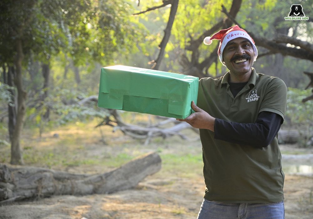 251216_ABRF_ATHARVA PACHARNE_EVENT_CHRISTMAS_BEARS_4