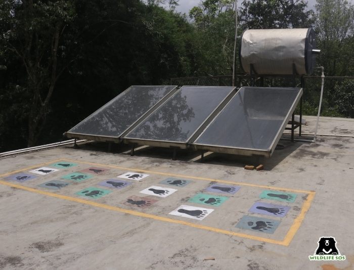 Solar panels in Wildlife SOS