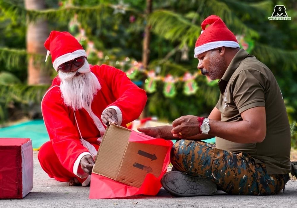 Christmas_MLRC_Akash Dolas