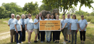 An Exclusive Volunteering Experience: Elephant Care Masterclass 2025