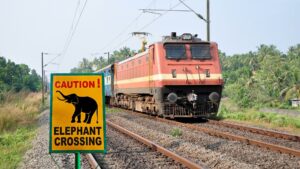 A Preventable Tragedy: Train Collisions and the Rapid Decline of India’s Wild Elephants