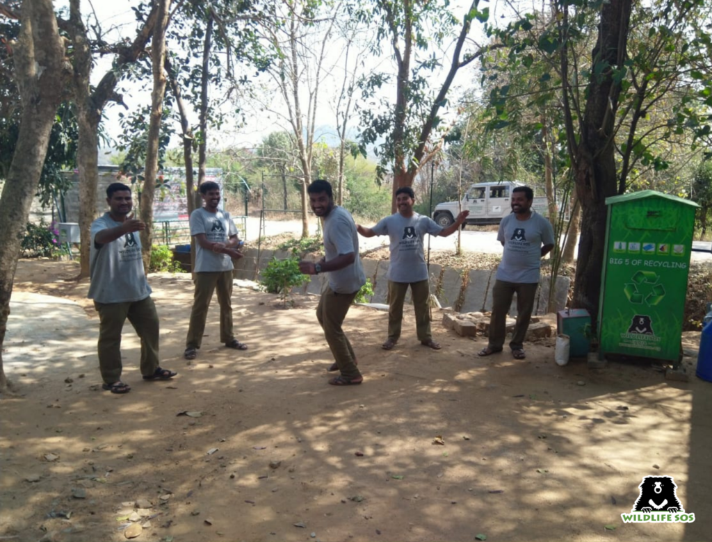Staff of Wildlife SOS engaging in recreational activities
