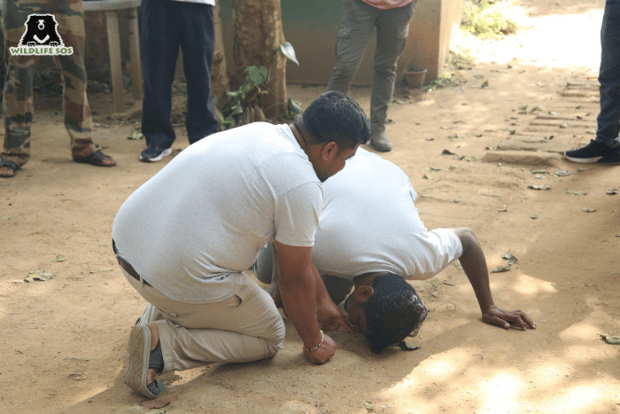 The caregivers took turns to assume the roles of the bear and trainer to get a sensitive insight into the workings of a bear's mind when they undergo training sessions.