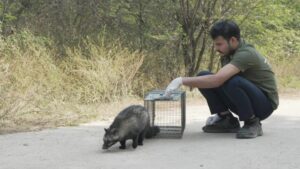 Rescues From The Helpline – November 2025