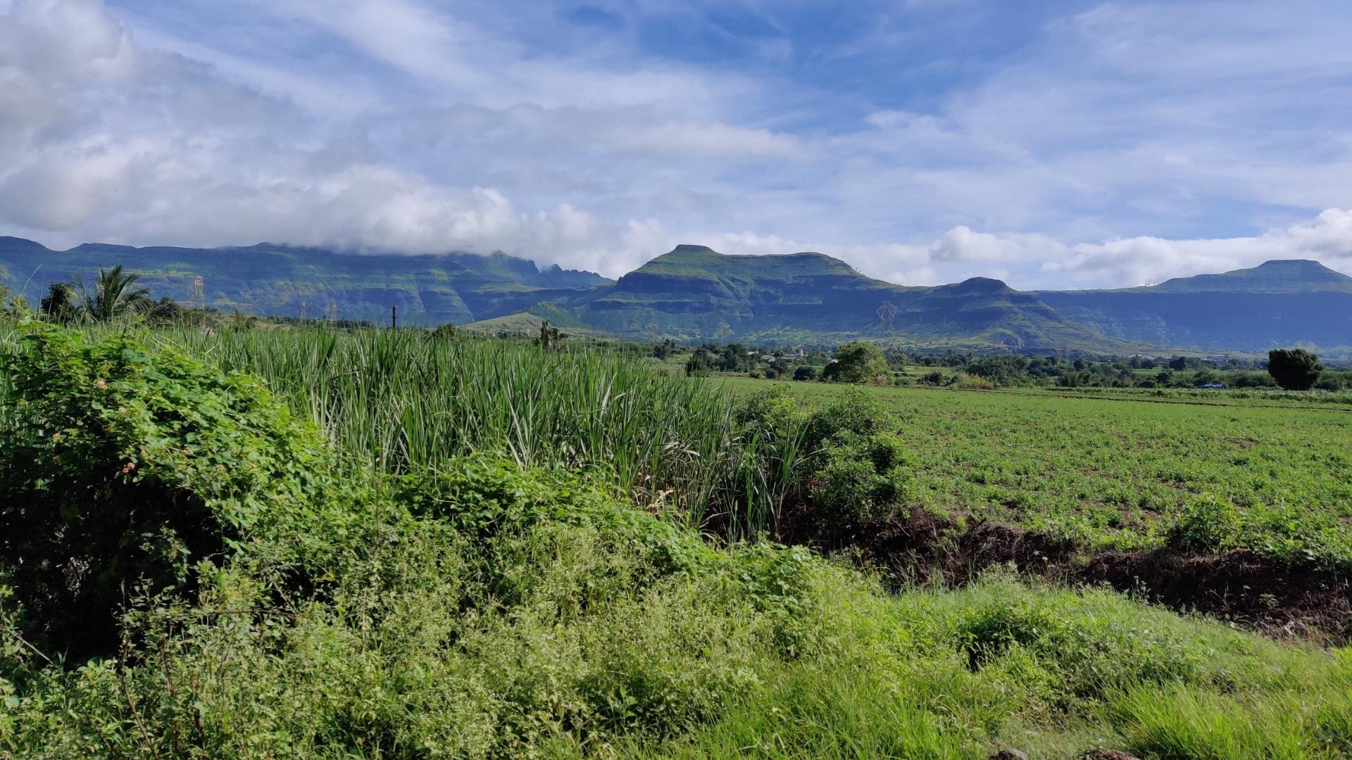 Silent Guardians: The Royal Range Of Aravallis