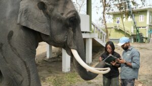 Wild Work: Careers That Inspire Change