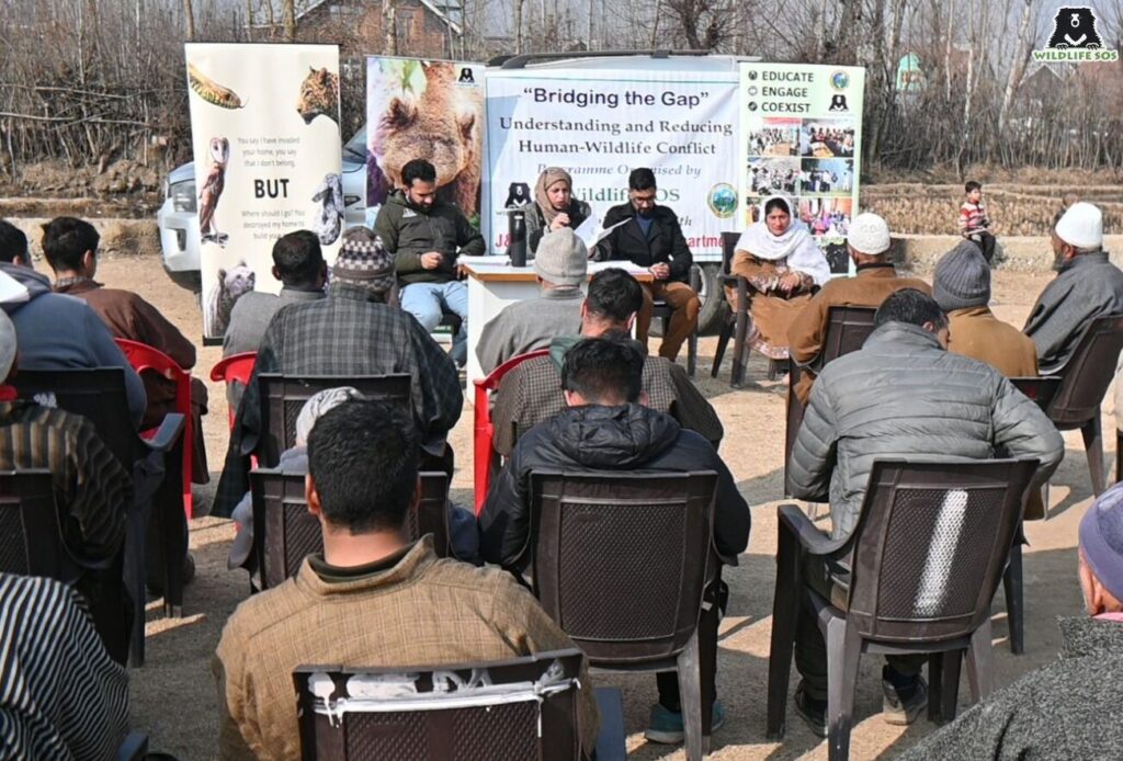 Awareness session