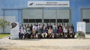 A Gathering For Gentle Giants: 3rd International Elephant Healthcare And Welfare Workshop