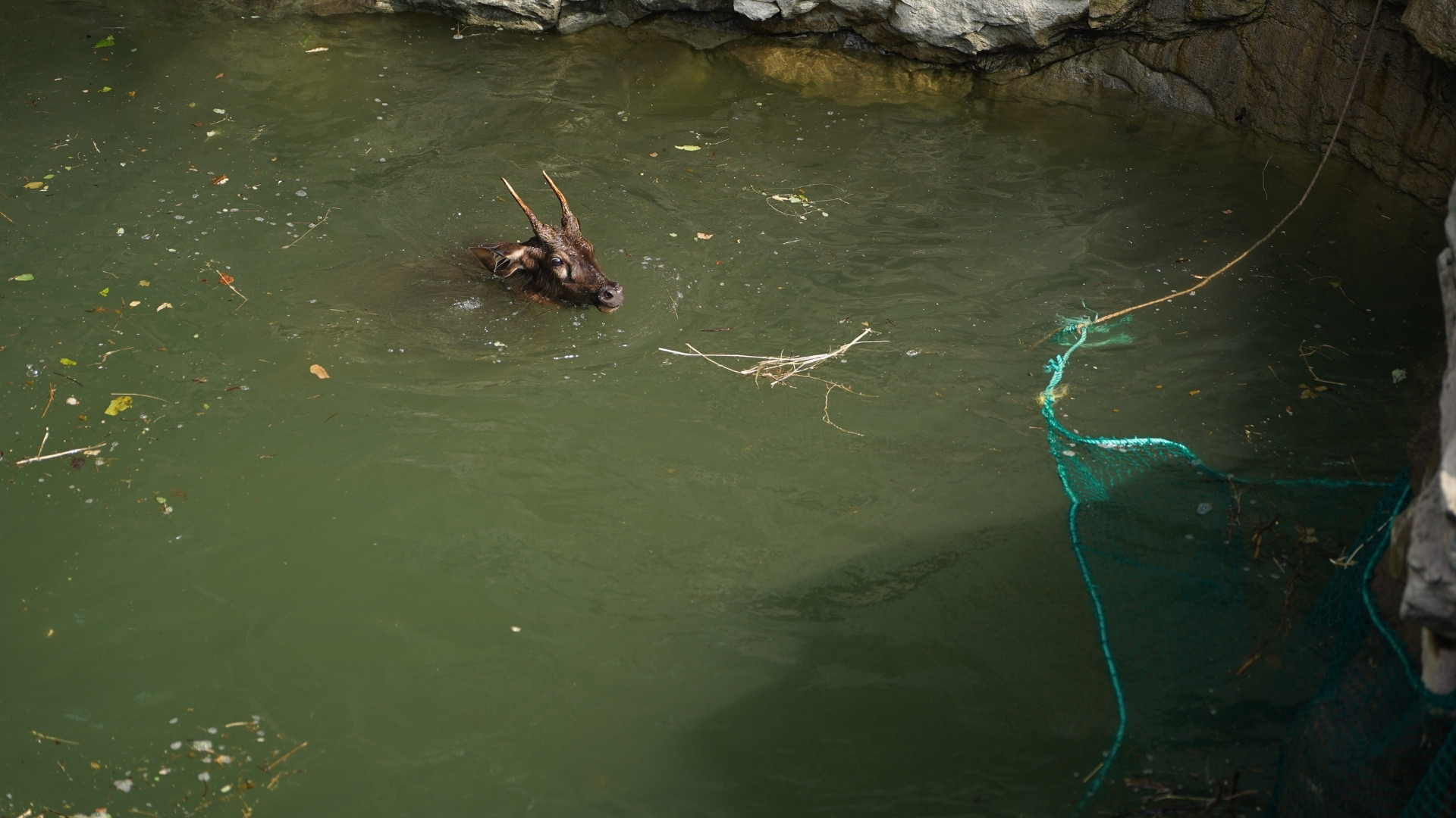 Hidden Hazards: Rescue Tales from Maharashtra’s Infamous Open Wells