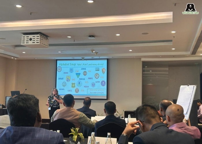 Coming Together_Wildlife and Timber Trafficking Workshop
