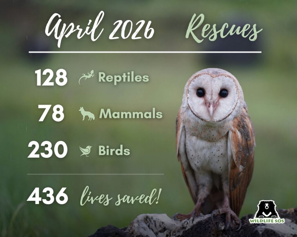 Infographic ROM_April 2026