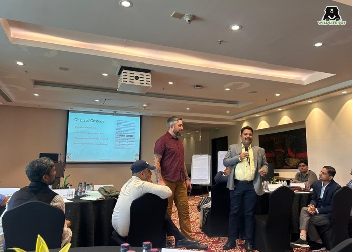 Interactive Sessions_Wildlife and Timber Trafficking Workshop