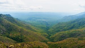NILGIRI LANDSCAPE_ABHIMAN