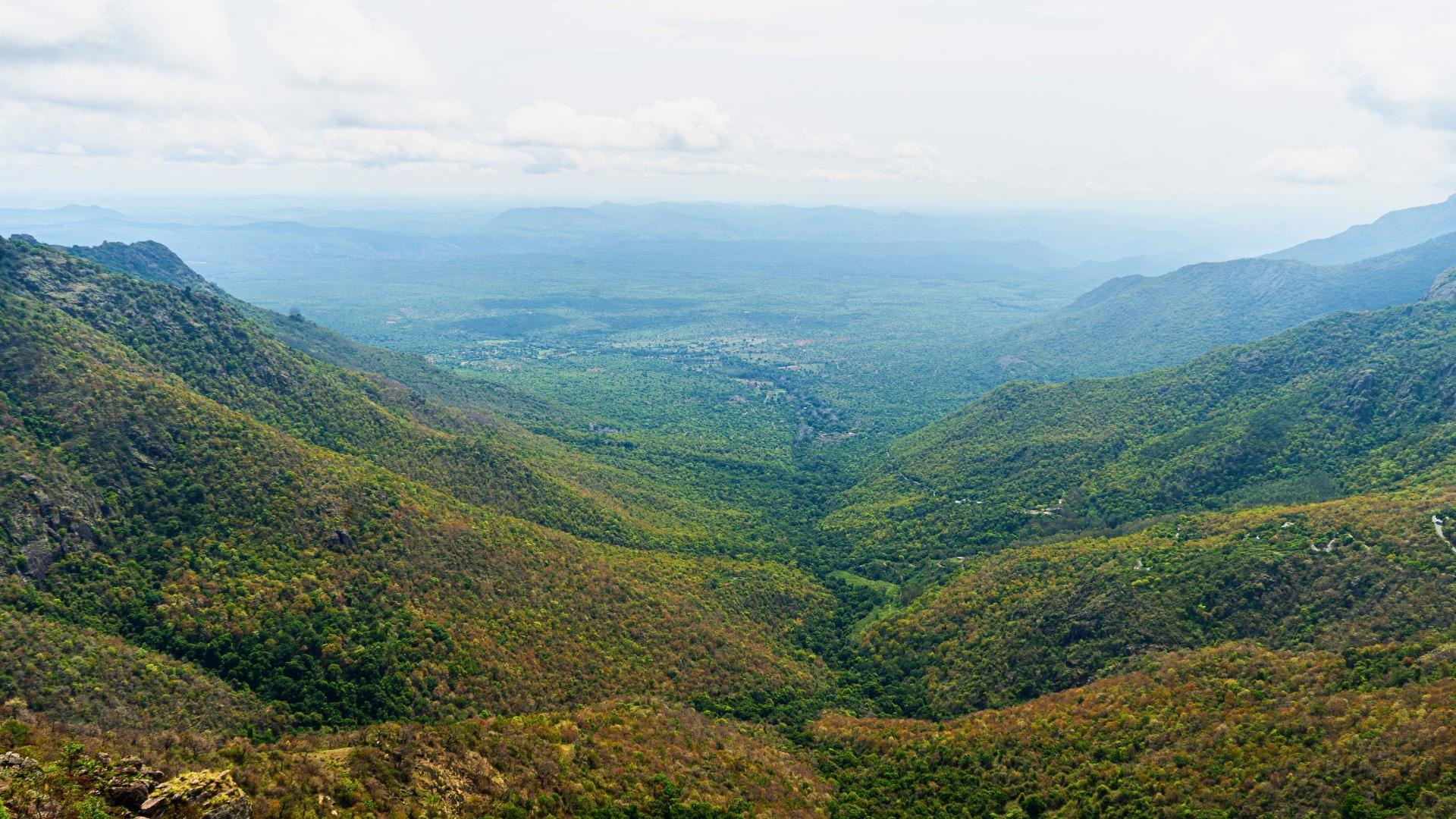 The Timelessness Of Nilgiri Biosphere Reserve