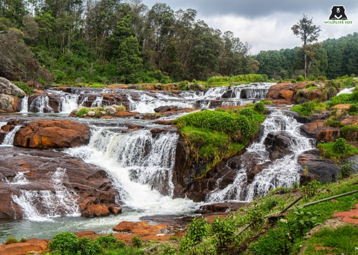 RIVER IN NILGIRIS_ABHIMAN H