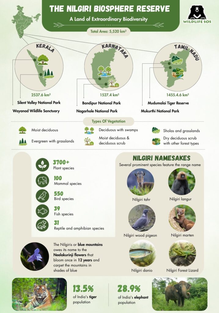 The Nilgiri Biosphere Reserve Infographic_Sneha Parul