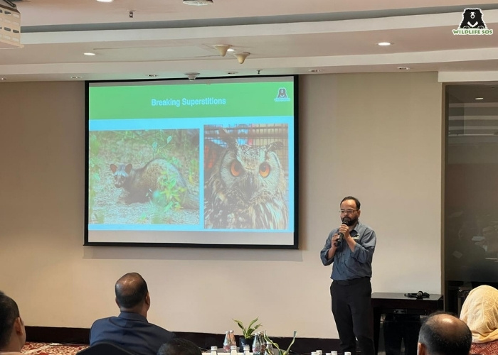 Wasim Sir Presentation_Wildlife and Timber Trafficking Workshop