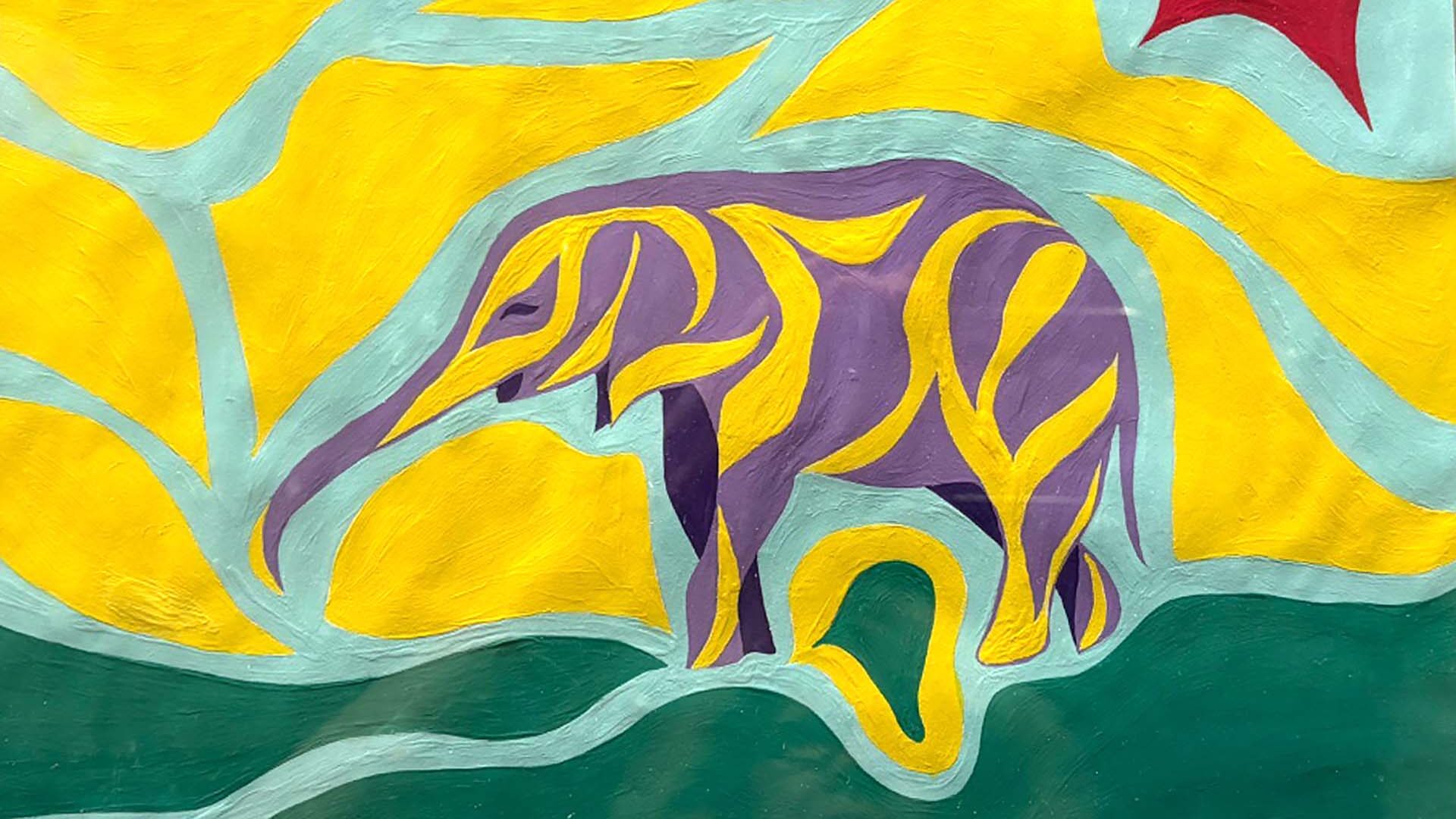 Supporter Interview: ‘My Reasons For Including Wildlife SOS In My Will’