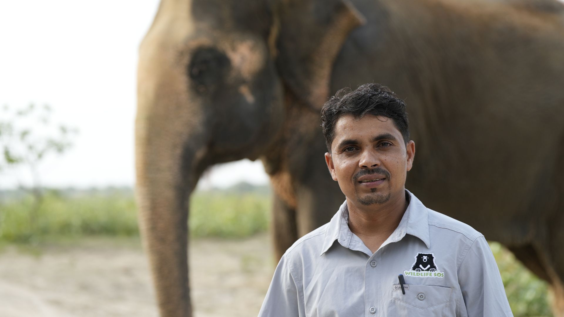 Staff Profile: Laxman Singh