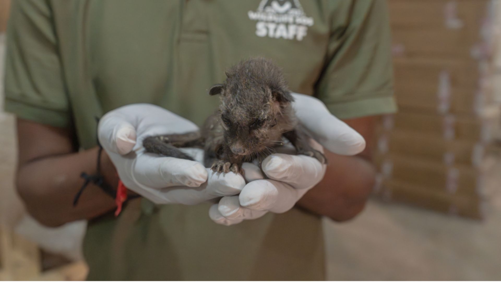 Rescues from the Helpline — July 2026