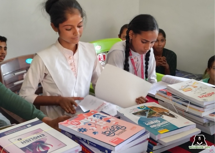 Kalandar Library (4)