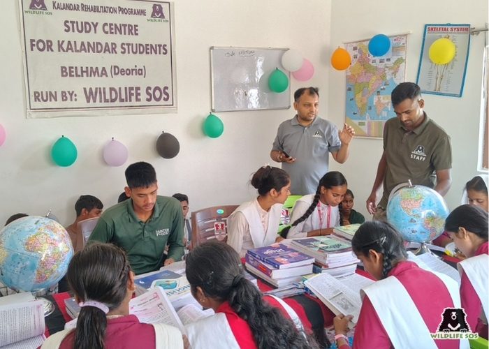 Kalandar Library (5)