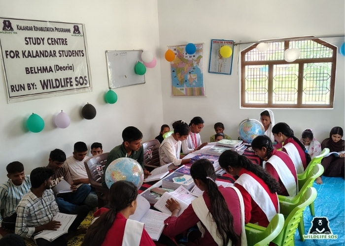 Kalandar Library (3)