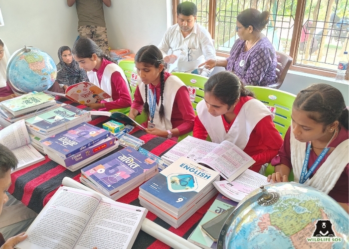 Kalandar Library (1)