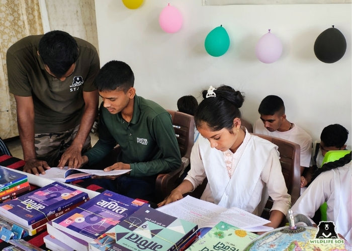 Kalandar Library (6)
